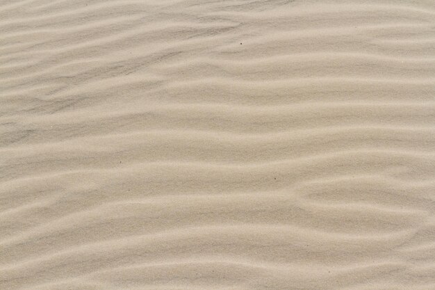 Patterns in the sand on South Padre Island, TX.