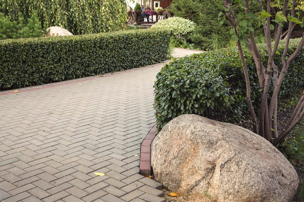 Paved alley of the park with trimmed bushes and trees. Landscaping.