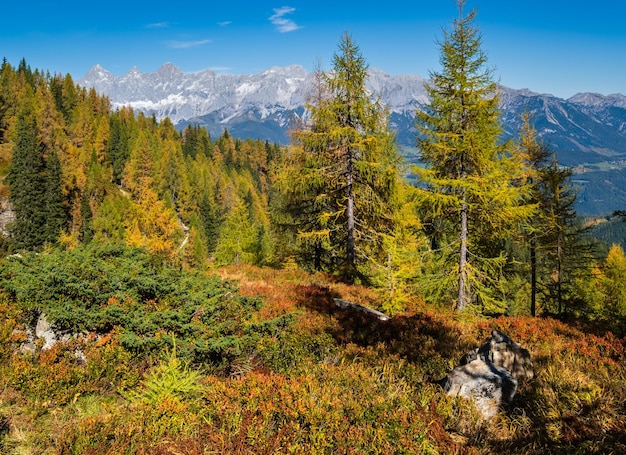 Peaceful autumn Alps mountain view Reiteralm Steiermark Austria