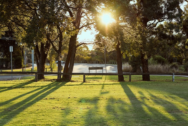 Peaceful city park with afternoon sunshine.