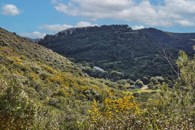 Peaceful Green Hills and Cloudy Blue Sky Landscape with Vibrant Colors