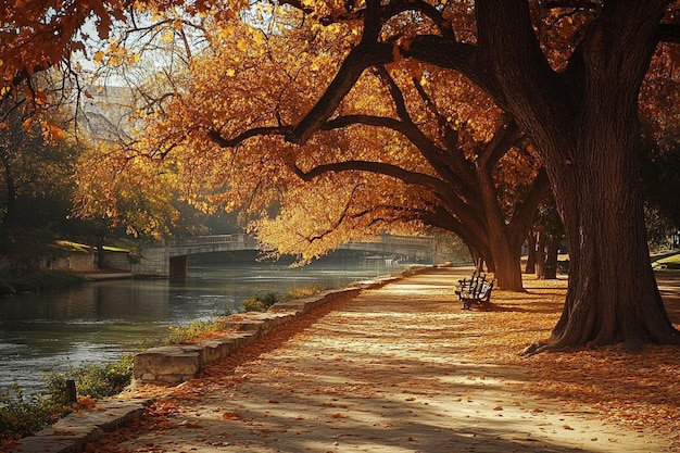 Photo a peaceful riverbank adorned with autumn foliage