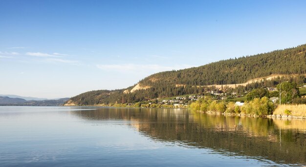 Peaceful view of wood lake with reflection on the water and mountains in background