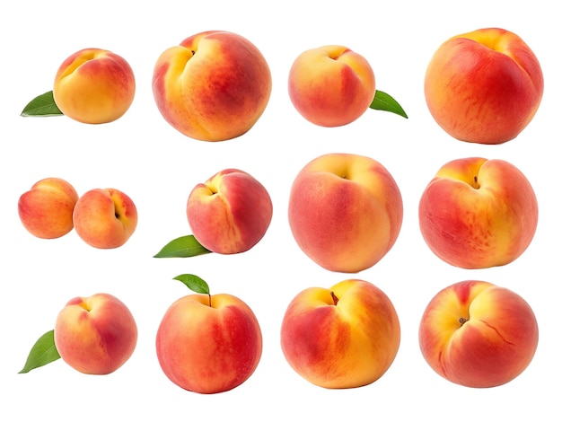 Peach collection isolated on white background with AI generated