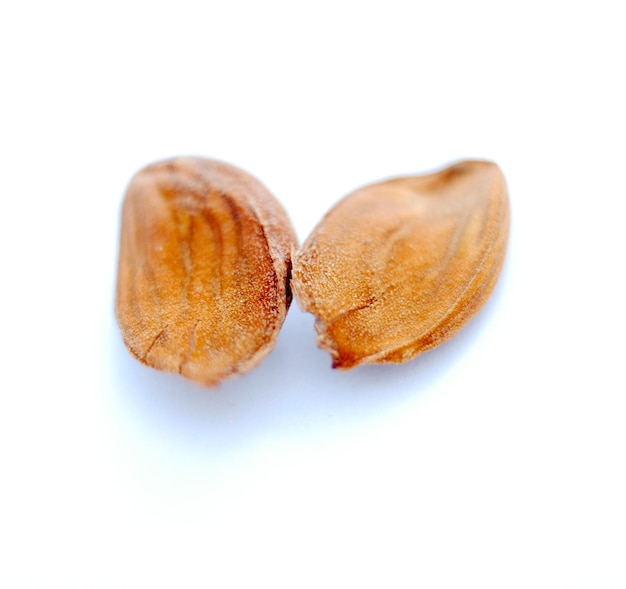 peach fruit stone isolated on whiteimage of a