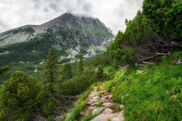 Peak Gerlachovsky Stit in High Tatras mountains Slovakia