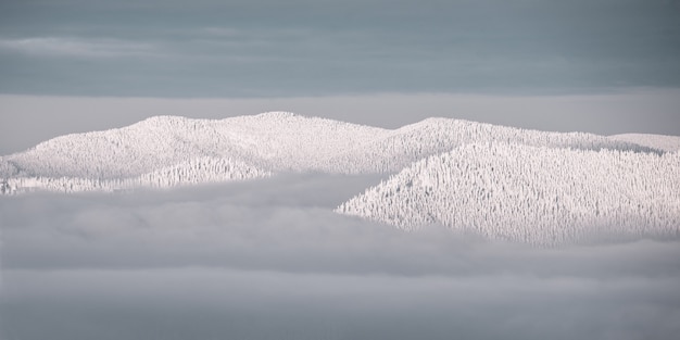 Photo peak of mountains in snow above clouds