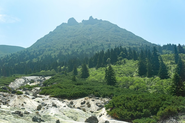 Peak with the crater of the Mendeleev volcano on the island of Kunashir is visible through the atmospheric haze from a slope with a fumarole field