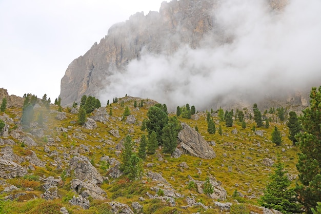 The peaks of the Dolomites in Italy are covered in fog Early wet foggy morning Beginning of autumn Clean fresh air lack of people Selective focus