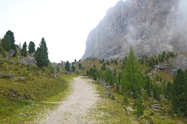 The peaks of the Dolomites in Italy are covered in fog Early wet foggy morning Beginning of autumn Clean fresh air lack of people Selective focus