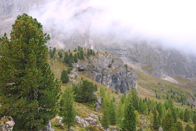 The peaks of the Dolomites in Italy are covered in fog Early wet foggy morning Beginning of autumn Clean fresh air lack of people Selective focus