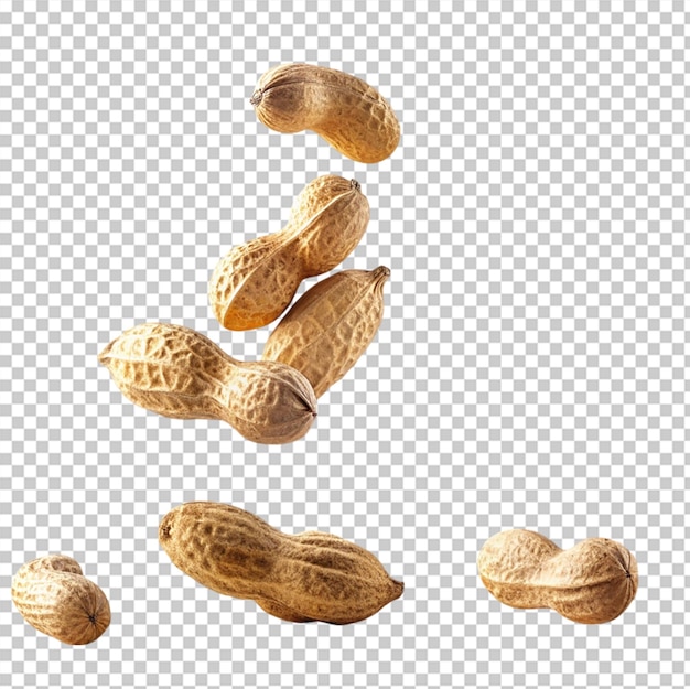 Peanut falling in the air isolated on transparent background