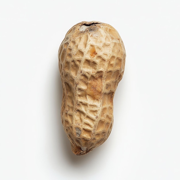 a peanut that has the word peanut on it