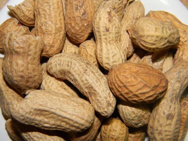 peanut variety