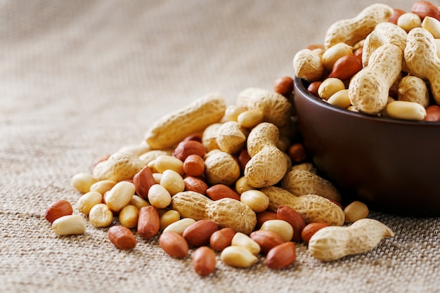 Peanuts in the shell and peeled close-up in cups. Roasted peanuts in their shells and peeled against a brown cloth.