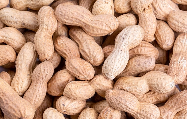 Peanuts in shell on a white background