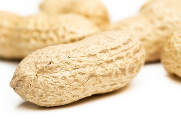 Peanuts with shell on a white background