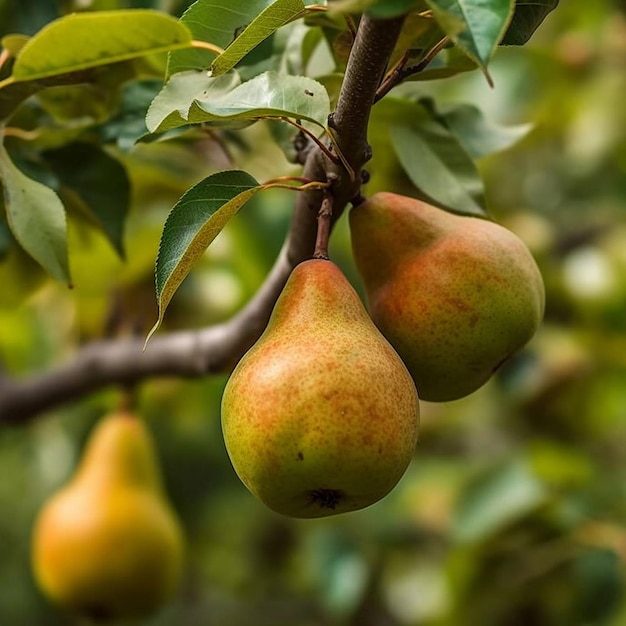 Pear garden tree ripe pears tree images Generative AI