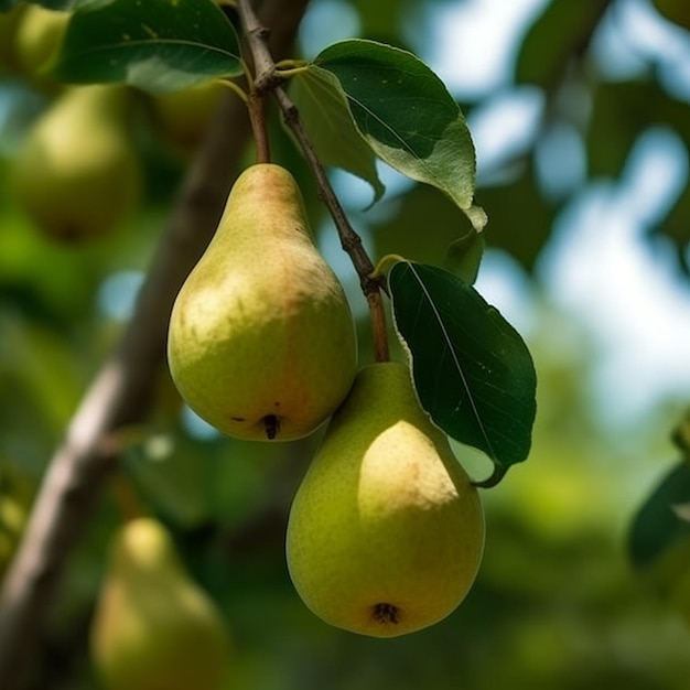 Pear garden tree ripe pears tree images Generative AI