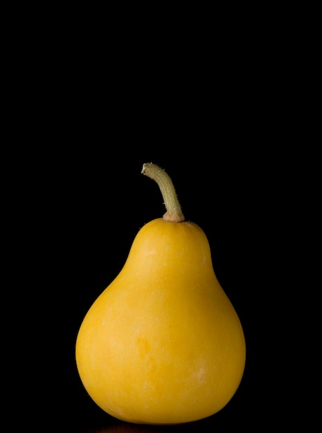 Pear-shaped decorative pumpkin on a black background