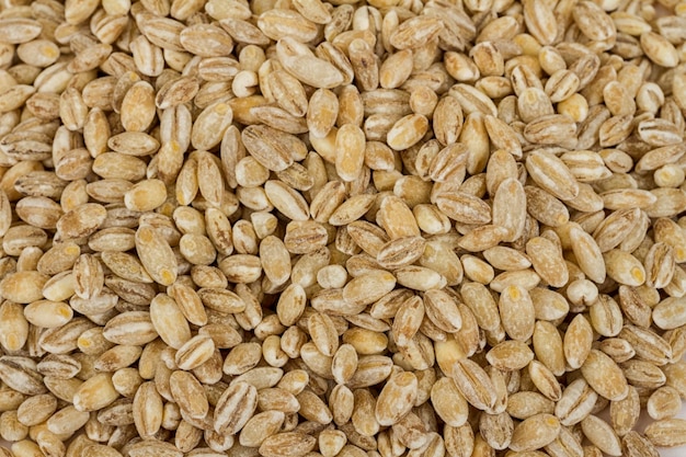 Pearl barley heap isolated on white