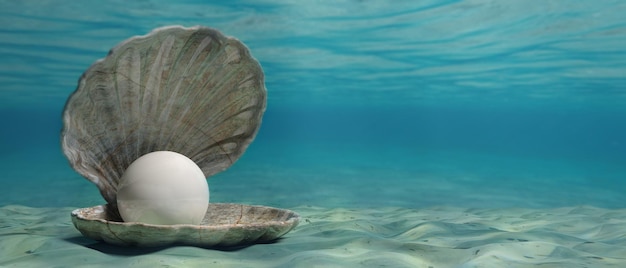 Pearl in an oyster shell underwater on the sea bottom 3d illustration