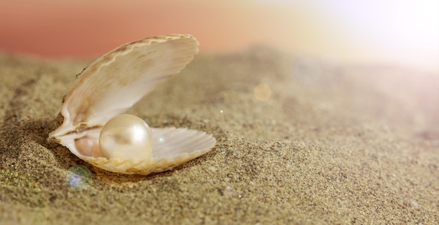 Pearl in a seashell on the beach