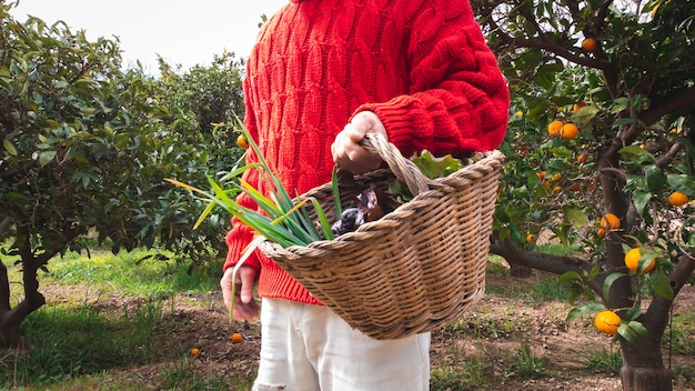 Peasant man with a wicker basket with freshly picked vegetables