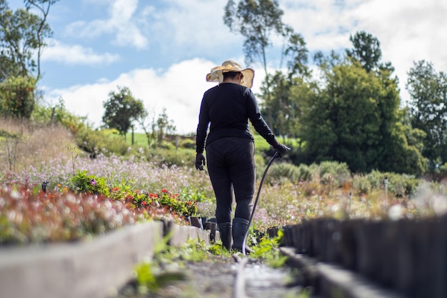 peasant woman watering plants outdoors in the orchard