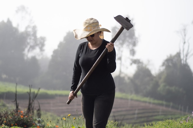 peasant woman working with hoe in the field