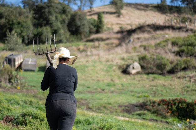 peasant woman working with rake in the field