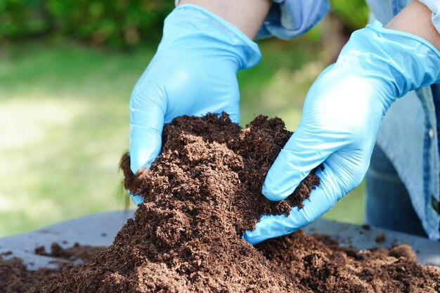 Peat moss fertilizer soil for organic agriculture plant growing ecology concept