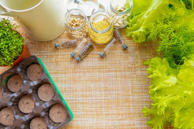 Peat pots tools and soil are ready for planting seeds Growing seedlings for gardening Flat lay