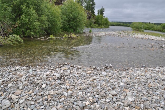 Pebble beach of the Northern river