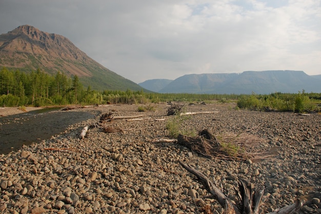 Pebble direction of the mountain river