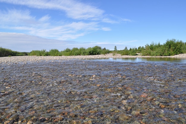 Pebble reef on the North river