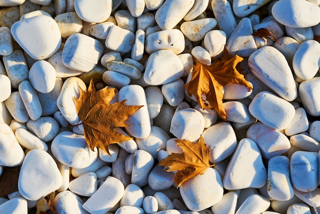 Pebble Stone and Leaf