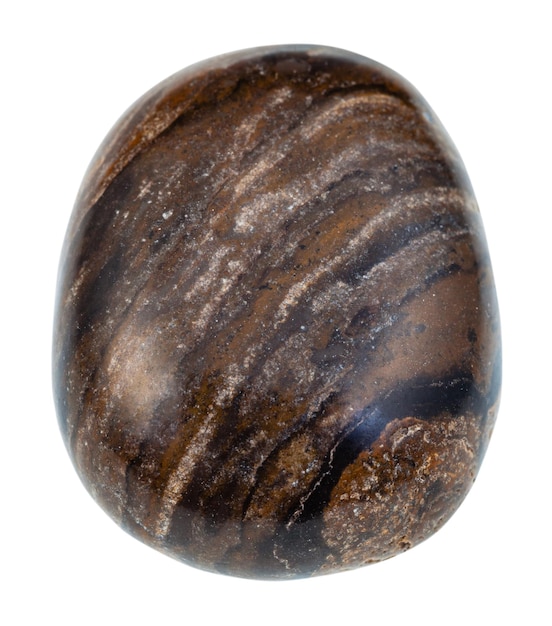 Pebble of stromatolite gemstone from Peru isolated