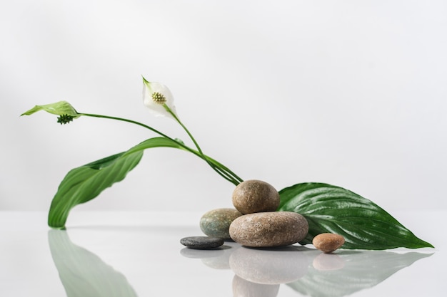 Pebbles cosmetic podium with leaves and flowers of tropical plants