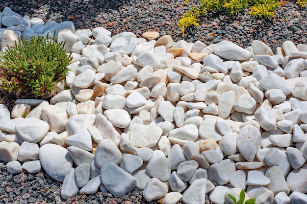 Pebbles small white stones the texture of the stone Flower bed design garden decor with green plant