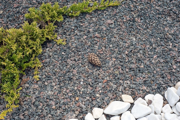 Pebbles small white stones the texture of the stone Flower bed design garden decor with green plant