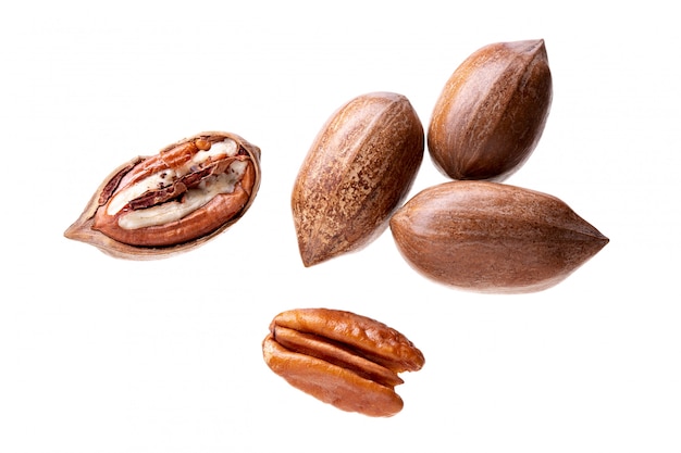 Pecan nuts isolated on white. Carya illinoinensis