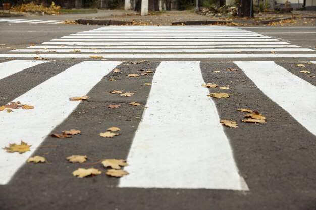 Pedestrian crossing on empty city street in autumn closeup