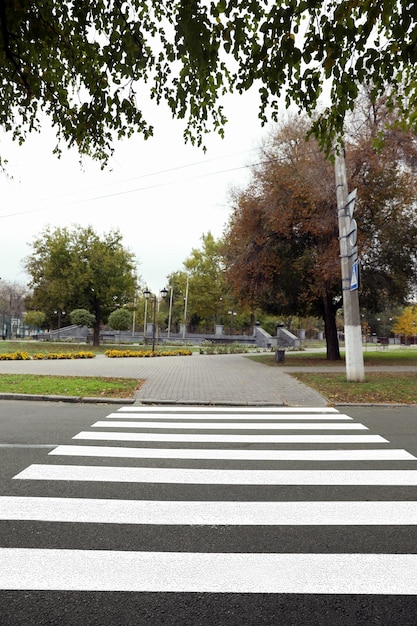 Pedestrian crossing on empty city street in autumn