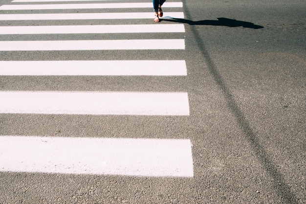 Pedestrian zebra with walking legs and asphalt