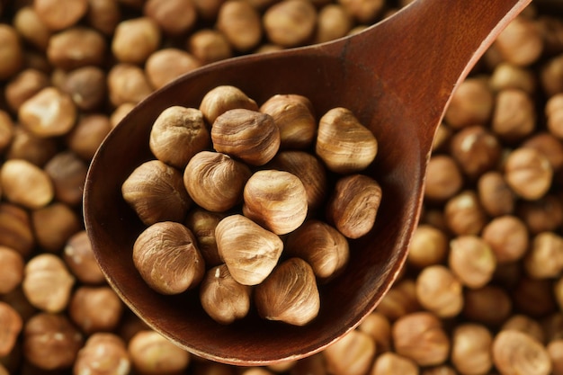 Peeled hazelnuts Hazelnut kernels lie in wooden spoon Top view of nuts closeup Advertising photography for marketplaces or online stores