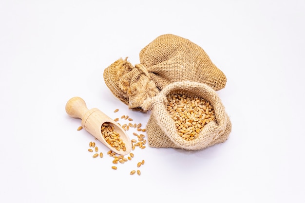 Peeled wheat grains isolated on white background