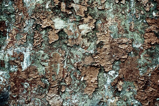 Peeling paint on the old concrete wall