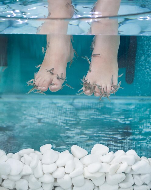 Peeling with fish and white spa stones Girl enjoying medicinal procedure and receiving massage with small fishes Foot massage with fish in the aquarium closeup Female foot during peeling