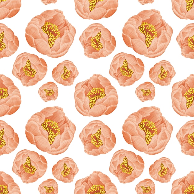 Peonies pattern Pink buds on white Illustration for wrapping covering wallpaper textile